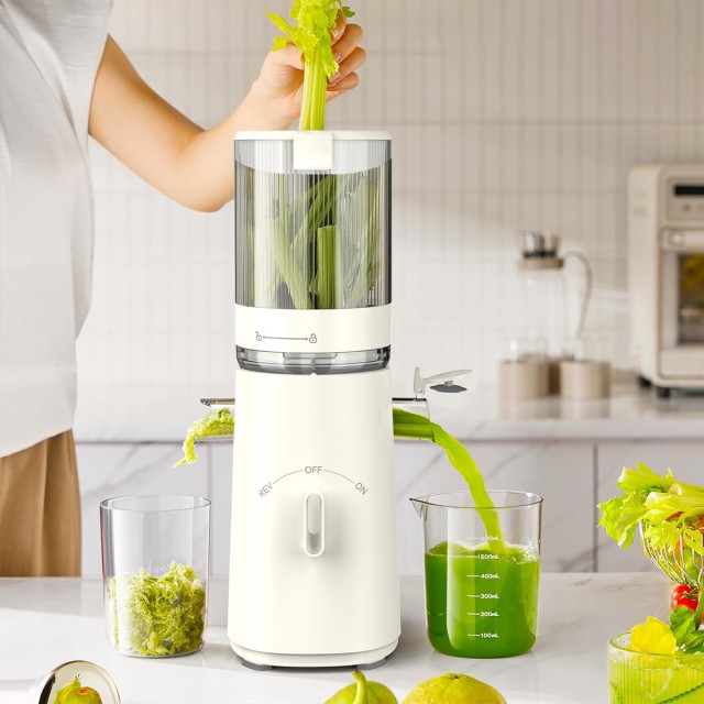 High Quality High Efficiency Fruit Juicer