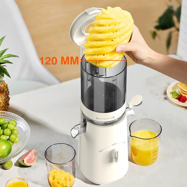 High Quality High Efficiency Fruit Juicer