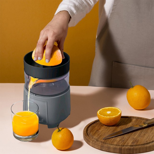 High Performance Fruit and Vegetable Juicer