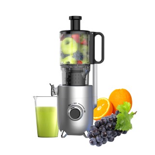 Easy to Use Fruit and Vegetable Juicer