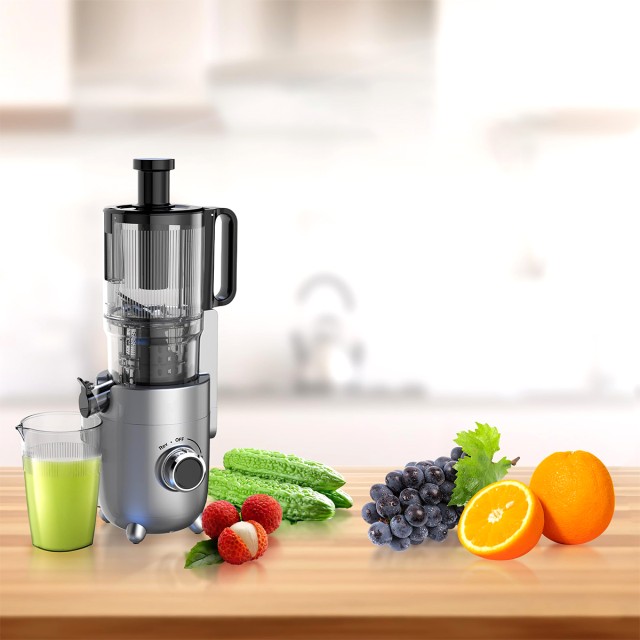Easy to Use Fruit and Vegetable Juicer