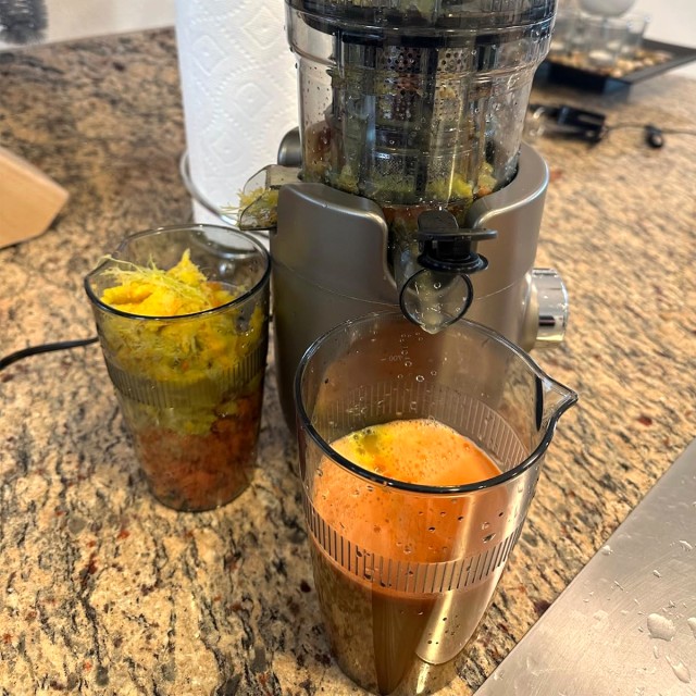 Easy to Use Fruit and Vegetable Juicer