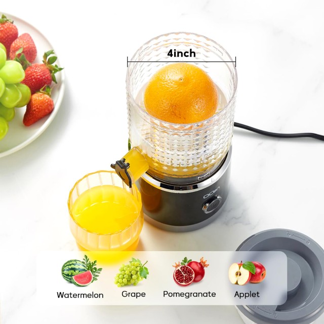 Powerful Citrus Juicer