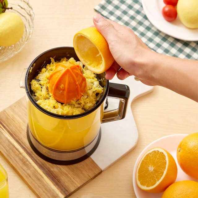Dual Cone Citrus Juicer