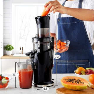 Slow Speed ​​High Yield Juicer