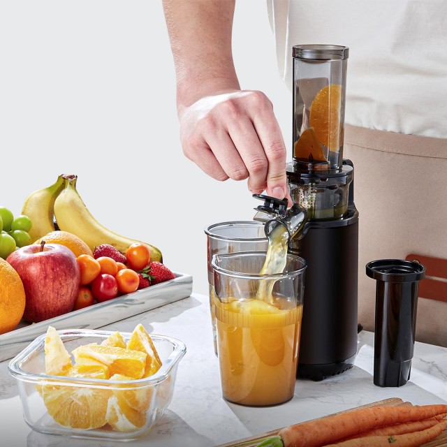 Compact Cold Press Juicer