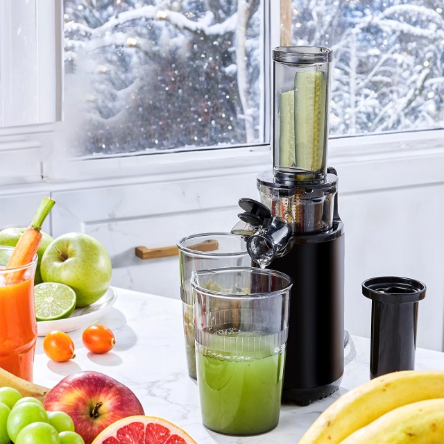 Compact Cold Press Juicer
