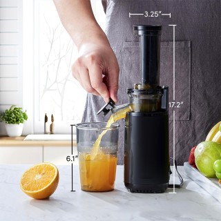 Compact Cold Press Juicer